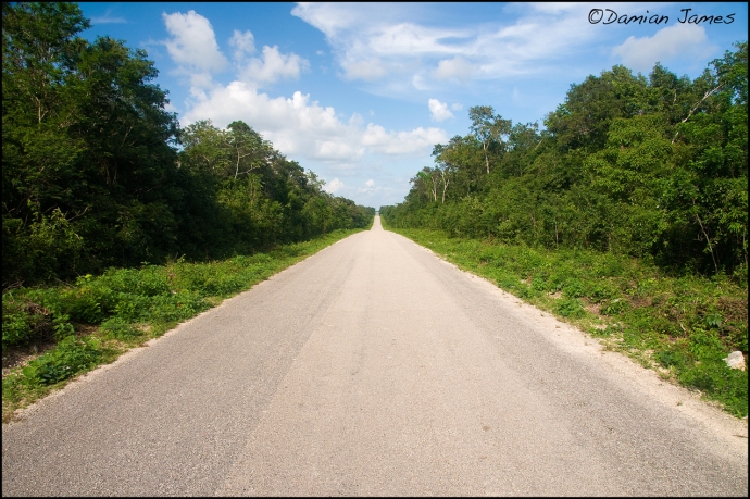Yucatan road