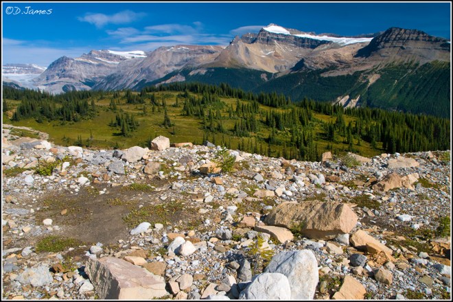Iceline Trail - Canada