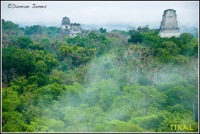 Tikal, Guatemala