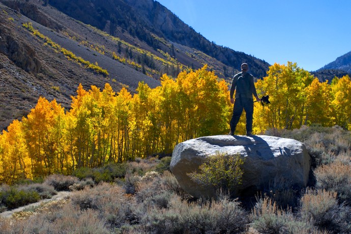 Inyo National Forest