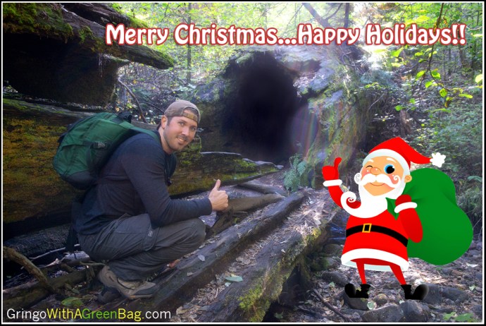 Christmas-2015-GWAGB